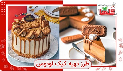 طرز تهیه کیک لوتوس کافی شاپی در خانه و بدون فر + عکس و ایده برای تزیین
